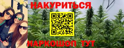 стафф Абакан