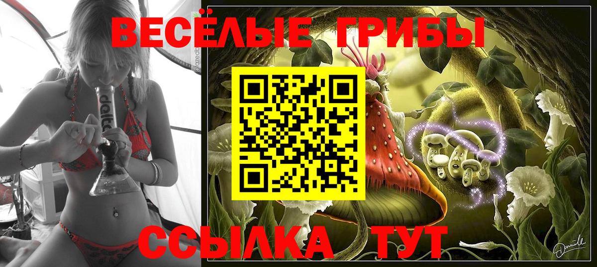 Псилоцибиновые грибы Magic Shrooms Апатиты